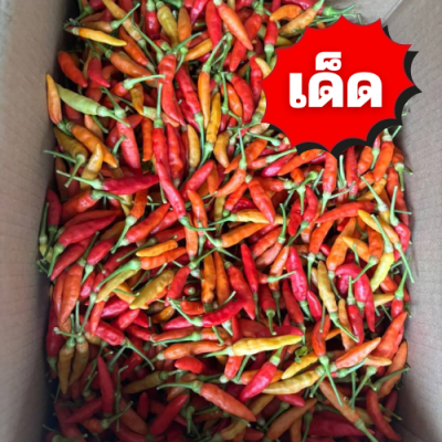 พริกกระเหรี่ยง เด็ด