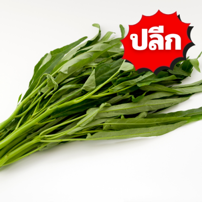 ผักบุ้งจีน ปลีก