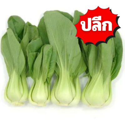 ฮ่องเต้น้อย ปลีก