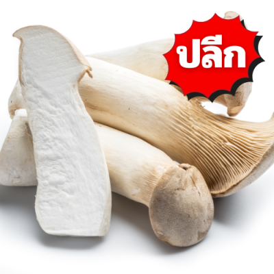 เห็ดออรินจิ ปลีก