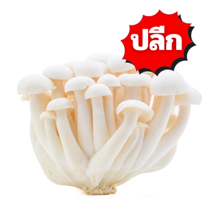 เห็ดชิเมจิ ปลีก