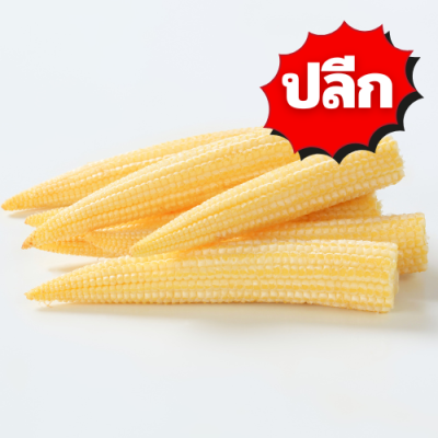 ข้าวโพดอ่อน ปลีก