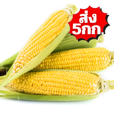 ข้าวโพดหวาน ส่ง 5กก.