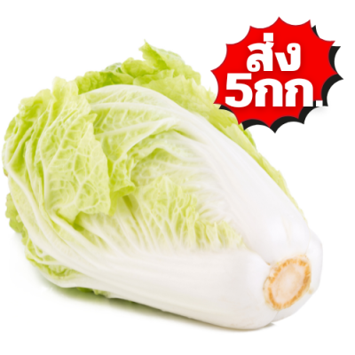ผักกาดขาว ส่ง 5กก.