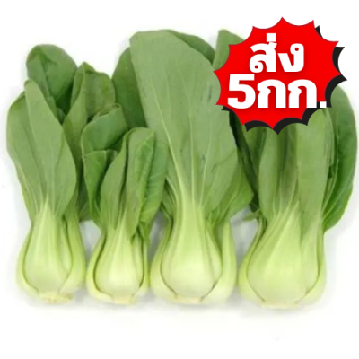 ฮ่องเต้น้อย ส่ง 5กก.