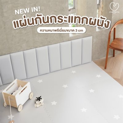 แผ่นกันกระแทกผนัง Wall Cushion