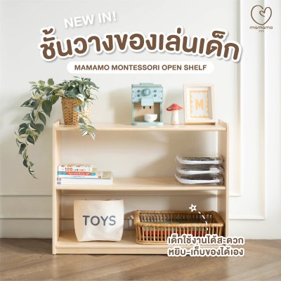 ชั้นวางของเล่นเด็ก