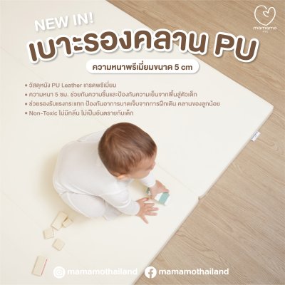 เบาะรองคลาน PU