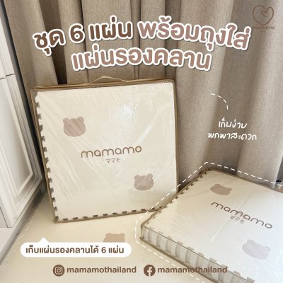 ถุงใส่แผ่นรองคลาน