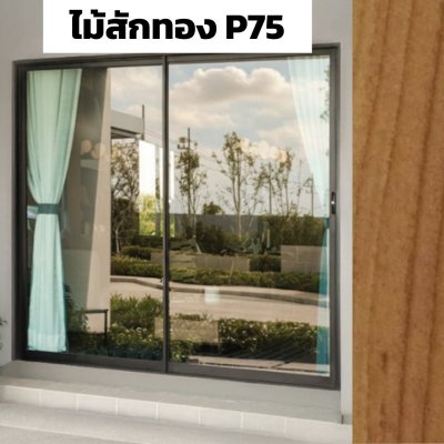 สีไม้สักทอง P75 : ชุดบานเลื่อน ECO PLUS PREMIER