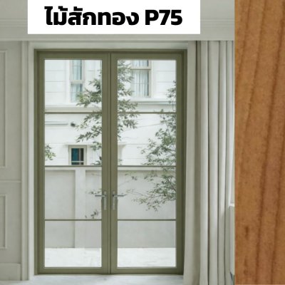 สีไม้สักทอง P75 : ชุดบานเปิด / เปิดคู่ / กระทุ้ง EURO SERIES PREMIER