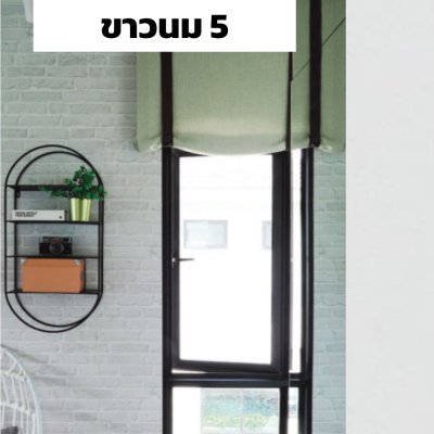 สีขาวนม 5 : Section ตลาด ชุดบานกระทุ้ง GSM