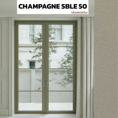 สี CHAMPAGNE SBLE 50 : ชุดบานเปิด / เปิดคู่ / กระทุ้ง EURO SERIES PREMIER