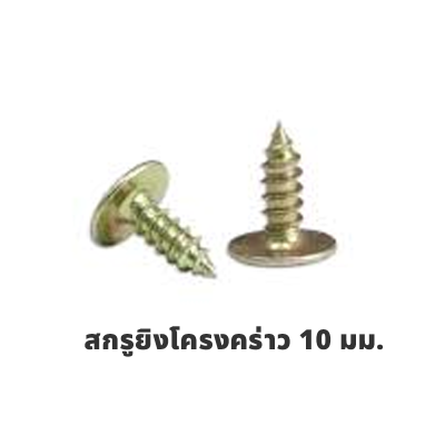 สกรูยิงโครงคร่าว 10 มม.
