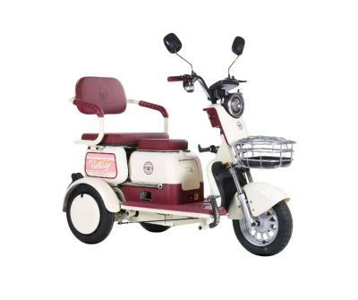 สามล้อไฟฟ้า รุ่น VIZH-D1-BROWNCREAM