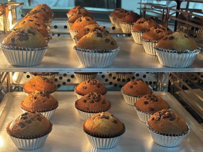 convection oven-1
