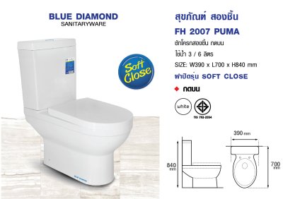 Two Pieces Toilet