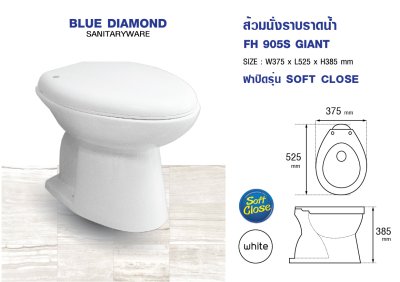 Hand Flush Toilet