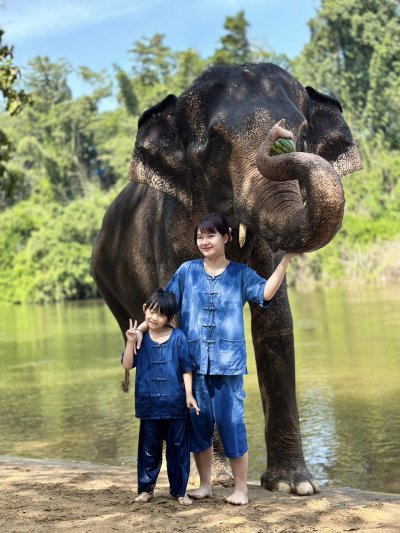 Elephant bathing