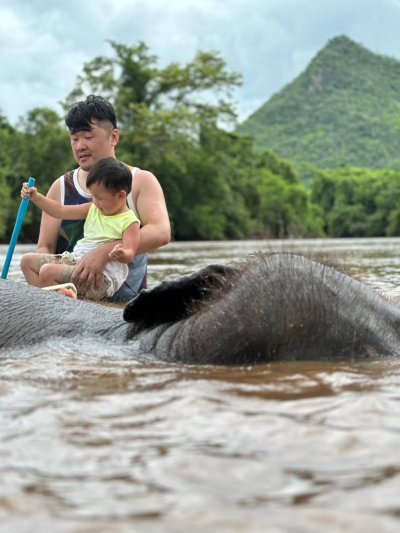 elephant care