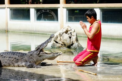 Crocodile Farm Show & Ancient City Program