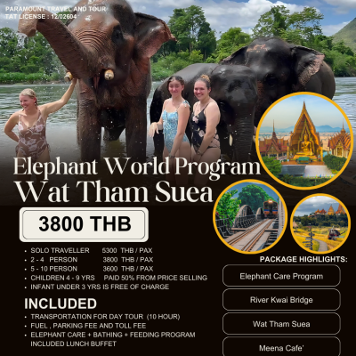 Elephant world program