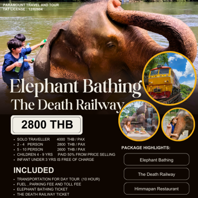 elephant bathing program