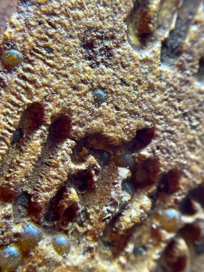 พระสมเด็จพิมพ์ปรกโพธิ์ โรยพระธาตุ กรุวังหน้า สมเด็จโตปลุกเสก