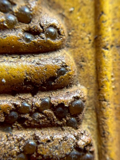 พระสมเด็จพิมพ์ปรกโพธิ์ โรยพระธาตุ กรุวังหน้า สมเด็จโตปลุกเสก