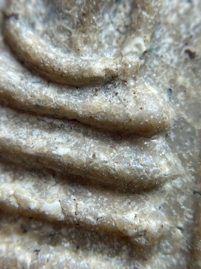 พระสมเด็จวัดระฆังพิมพ์ใหญ่ หลังครุฑ ส่งตามรูป