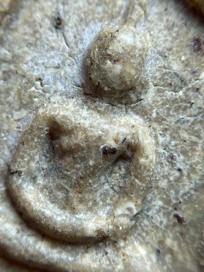 พระสมเด็จวัดระฆังพิมพ์ใหญ่ หลังครุฑ ส่งตามรูป