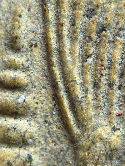 พระสมเด็จวัดระฆังพิมพ์เจย์ดีแหวกม่าน ส่งตามรูป