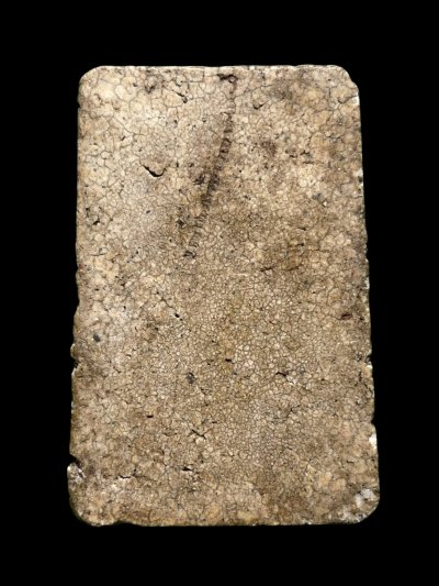 พระสมเด็จวัดระฆังพิมพ์เชียงแสน ส่งตามรูป