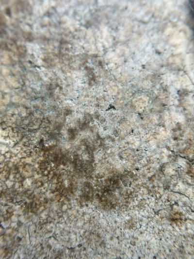 พระสมเด็จวัดระฆังพิมพ์เจย์ดี พร้อมกรอบขึ้นคอ