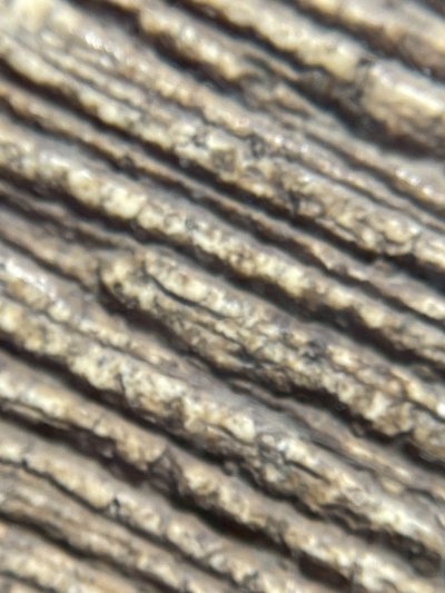 พระสมเด็จวัดระฆังพิมพ์ใหญ่ หลังลายกระดาน พร้อมกรอบขึ้นคอ