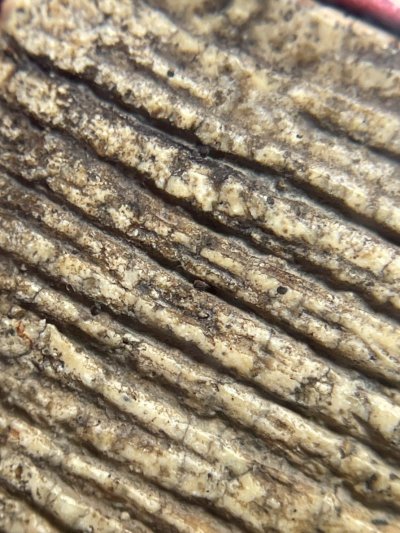 พระสมเด็จวัดระฆังพิมพ์ใหญ่ หลังลายกระดาน พร้อมกรอบขึ้นคอ