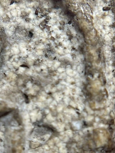 พระสมเด็จวัดระฆังพิมพ์ใหญ่ หลังลายกระดาน พร้อมกรอบขึ้นคอ