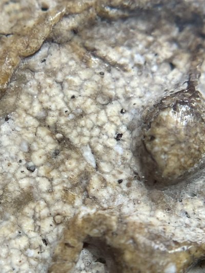 พระสมเด็จวัดระฆังพิมพ์ใหญ่ หลังลายกระดาน พร้อมกรอบขึ้นคอ