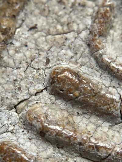 พระสมเด็จวัดระฆังพิมพ์เจย์ดี พร้อมกรอบขึ้นคอ