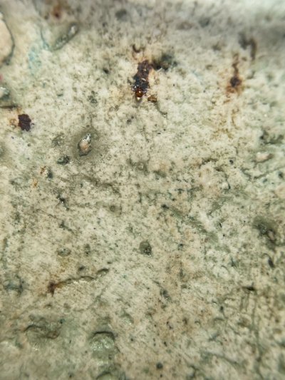 พระสมเด็จวัดระฆังพิมพ์ใหญ่ พร้อมกรอบขึ้นคอ