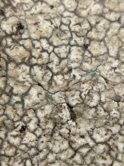 พระสมเด็จวัดระฆังพิมพ์ใฐานแซม พร้อมกรอบขึ้นคอ