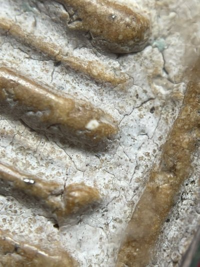 พระสมเด็จวัดระฆังพิมพ์ใฐานแซม พร้อมกรอบขึ้นคอ