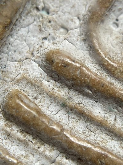 พระสมเด็จวัดระฆังพิมพ์ใฐานแซม พร้อมกรอบขึ้นคอ