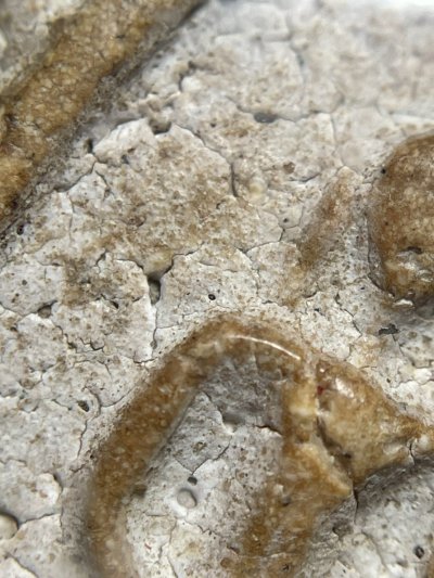 พระสมเด็จวัดระฆังพิมพ์ใฐานแซม พร้อมกรอบขึ้นคอ