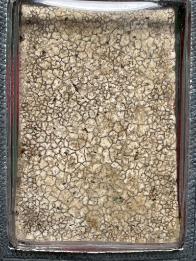 พระสมเด็จวัดระฆังพิมพ์ใฐานแซม พร้อมกรอบขึ้นคอ