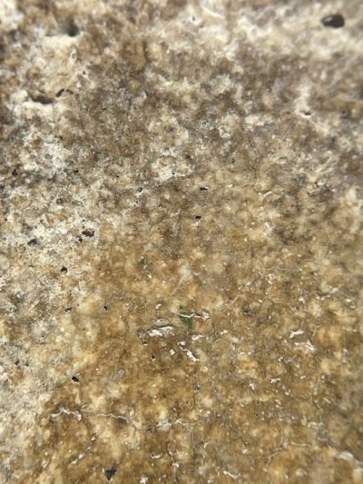 พระสมเด็จวัดระฆังพิมพ์ใหญ่ พร้อมกรอบขึ้นคอ