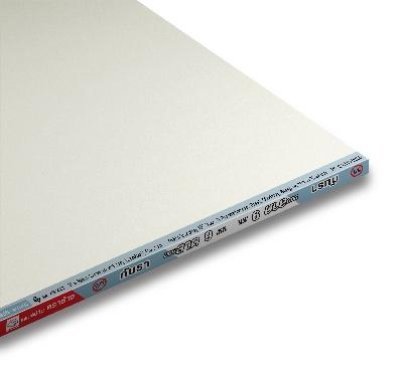 แผ่นยิปซัมโมลบล็อค ตราช้าง  (กันรา)  MoldBloc