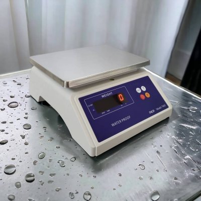 7602 (กันน้ำ IP68) พิกัด 3000 g. - 30 kg.