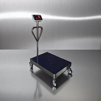 8801 เครื่องชั่งตั้งพื้น พิกัด 500 kg. ค่าละเอียด 100 g.