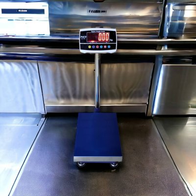 8801 เครื่องชั่งตั้งพื้น พิกัด 30 kg. - 150 kg.